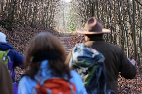 Da die Tour zum Großteil über ebene Wanderwege verläuft, ist sie zum Beispiel auch für geländegängige Kinderwagen geeignet.