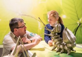 Das Bild zeigt einen Ranger in der Erlebnisausstellung "Wildnis(t)räume"