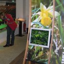 Das Nationalpark-Tor in Höfen ist ein guter Ausgangspunkt für Wanderungen in die Narzissenwiesen. Bildautor: M. Wetzel