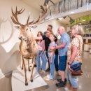 Das Nationalpark-Zentrum hat täglich von 10 bis 17 Uhr geöffnet, Heiligabend und Silvester schließt die Ausstellung bereits um 14 Uhr.