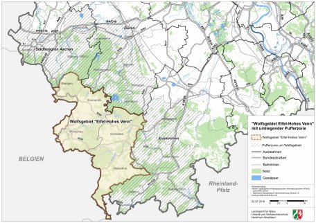 Das ausgewiesene Wolfsgebiet Hohes Venn - Eifel