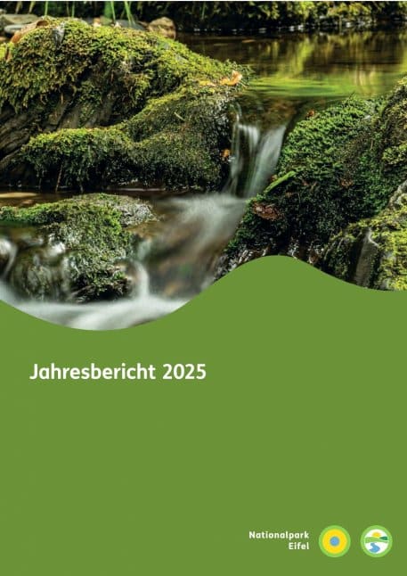 Deckblatt Jahresbericht 2025