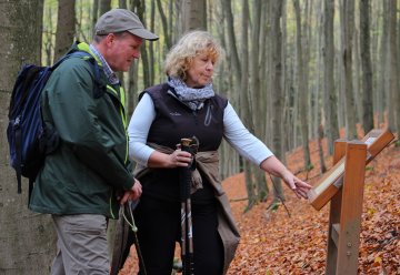 Dem Leben auf der Spur