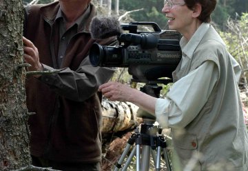 Der Borkenkäfer vor der Kamera: Neuer Film in den Nationalpark-Toren