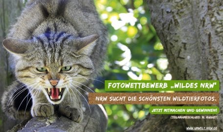 Der Fokus des Fotowettbewerbes liegt auf dem Schutz der Arten und dem Erhalt ihrer Lebensräume.