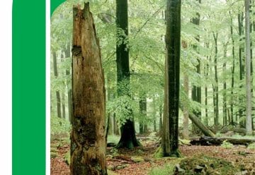 Der Nationalparkplan Band 1