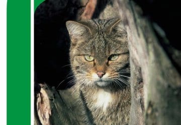 Der Nationalparkplan Band 2