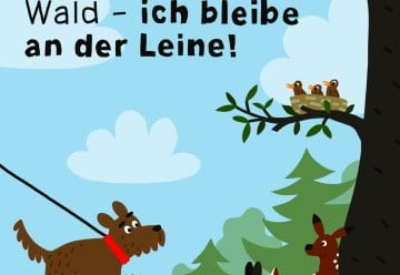 Der Wald wird zur Kinderstube