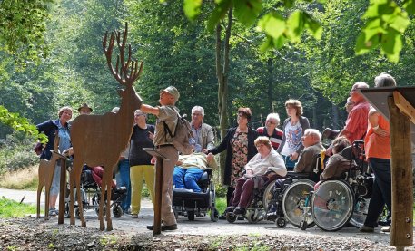 Der Wilde Weg im Barrierefreien Naturerlebnisraum Wilder Kermeter