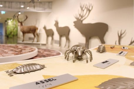 Die Ausstellung "Wildnis(t)räume" im Nationalpark-Zentrum ist barrierefrei konzipiert und spricht alle Sinne an.