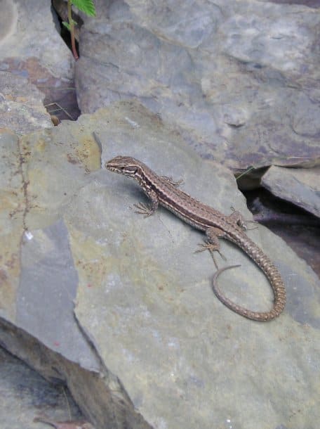 Die Bildbeschreibung finden Sie bitte im Textkasten unter der PM.