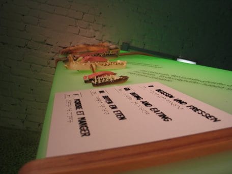 Die Bildbeschreibung finden Sie bitte unter der PM.