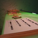 Die Bildbeschreibung finden Sie bitte unter der PM.