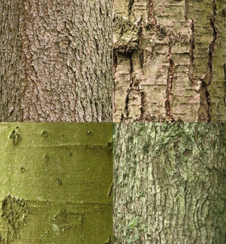 Die Bildbeschreibung finden Sie bitte unter der PM.