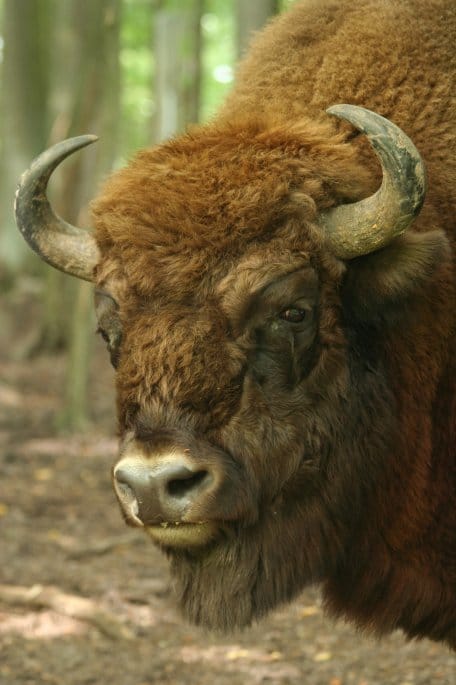 Die Bildbeschreibung finden Sie bitte unter der PM. Bildautor: A. Pardey