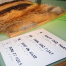 Die Bildbeschreibung finden Sie bitte unter der PM.