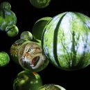 Die Eröffnung des Nationalpark-Zentrums Eifel mit der Erlebnisausstellung "Wildnis(t)räume" war ein Meilenstein in der Nationalpark-Geschichte. Foto: Achim Oerter