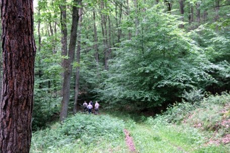 Die Europarc-Arbeitsgruppe Kommunikation nach dem Erkunden des barrierefreien Naturerkundungspfades „Wilder Weg“.