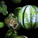 Die Nationalpark-Philosophie "Natur Natur sein lassen" ist Kernbotschaft und Roter Faden der Ausstellung. Foto: A. Oerter