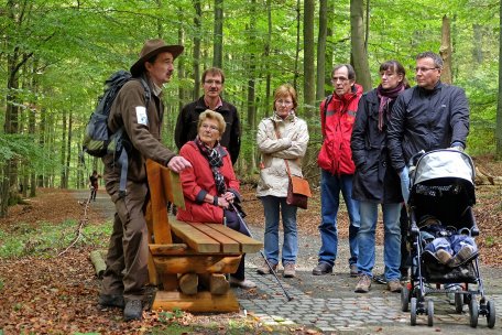 Die Wege im Kermeter sind fest und eben - etwa alle 250 Meter stehen Sitzmöglichkeiten zur Verfügung.