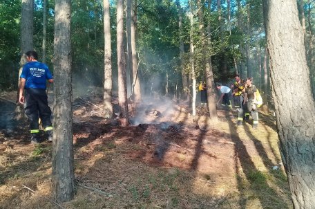 Die aktuelle Situation im Nationalparkwald und anderswo ist brandgefährlich: Alle Nationalpark-Gäste sollten sehr achtsam sein und unter keinen Umständen rauchen oder ein Feuer anmachen. Ein Funke genügt. 