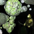 Die große Nationalpark-Ausstellung „Wildnis(t)räume“ ist ab sofort wieder geöffnet.