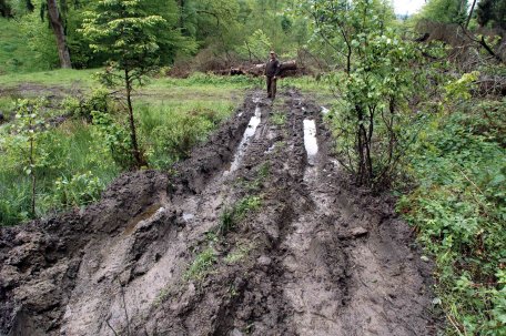 Diese Schäden haben die Jeeps am Pfingstsonntag in einem der sensibelsten Bereiche des Nationalparks hinterlassen. Foto: Nationalparkverwaltung