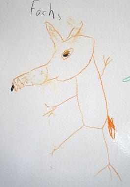 Dieser "Fochs" scheint auf zwei Beinen zu laufen - möglicherweise holt er gerade zum Sprung aus!