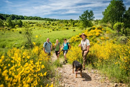 Dominik Ketz 5-web.jpg