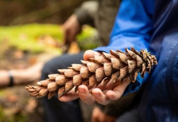 Dringend gesucht: Stellvertretende Leitung Jugendwaldheim Urft