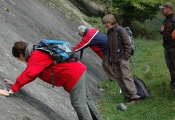 Dynamik der Erde – Geologische Wanderung durch den Nationalpark Eifel