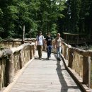  Ein Holzsteg ermöglicht neue Einblicke in die Natur.