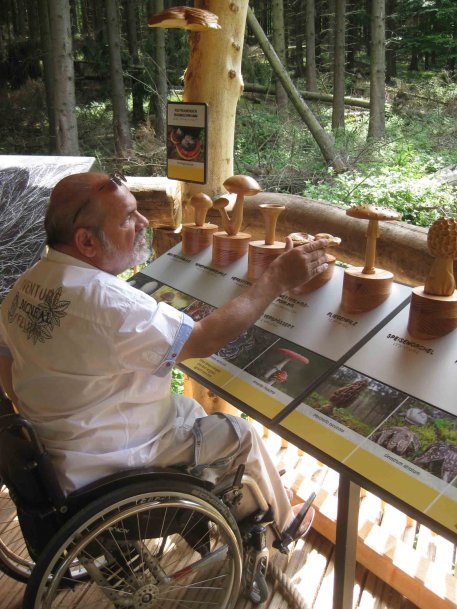  Ein Rollstuhlfahrer informiert sich über die verschiedenen Formen, Größen und Farben von Pilzen.