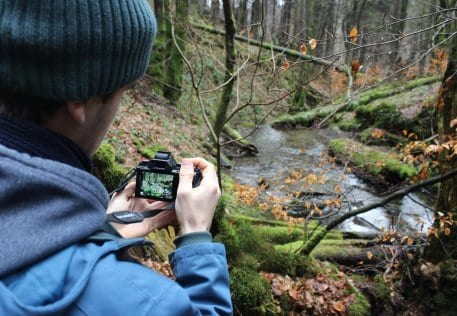 Ein besonderes Geschenk für Liebhaber*innen der Naturfotografie: Fotoworkshop in den „Wildnis(t)räumen“ und der Umgebung des Nationalpark-Zentrums Eifel.. 
