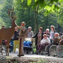 Ein ehrenamtlicher Nationalpark-Waldführer bei einer geführten Wanderung über den Wilden Weg.
