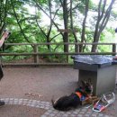 Eine breite Aufgabenpalette wartet auf die Praktikanten im Fachgebiet Kommunikation und Naturerleben. Auch Medienversierte können - wie hier mit der Videokamera - spannende Projekte umsetzen.