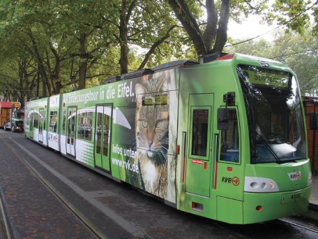 Eine mit Nationalpark-Motiven gestaltete Bahn wirbt in Köln für den Nationalpark Eifel und die umweltfreundliche Anreise mit Bus und Bahn.