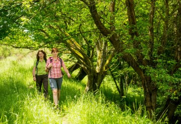 Entspannt unterwegs durch Wälder, über Offenland oder entlang der Seen