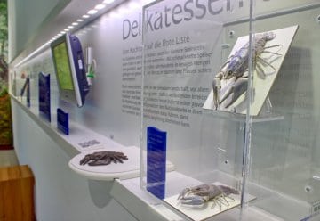 Erste Anlaufstellen für Besucher des Nationalparks Eifel