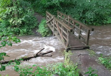Erste Bestandsaufnahme im Nationalpark