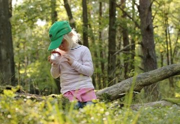 Erstmals 32 Kindertagesstätten als Nationalpark-Kitas Eifel ausgezeichnet