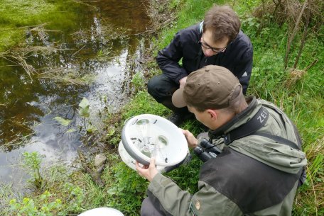 Experts research which animals and plants are found in the National Park and how the forest, rivers and streams, and other ecosystems are developing.