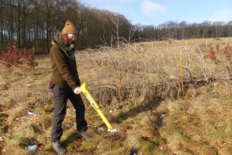 FÖJlerin Laura Wagner unterstützt die Forschung im Nationalpark Eifel - auch das kann zu den Aufgaben im Rahmen des Freiwilligen Ökologischen Jahres gehören.