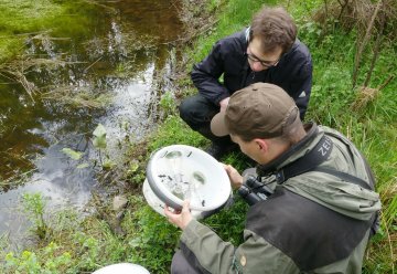 Fachleute untersuchen die Tier- und Pflanzenwelt im Nationalpark.