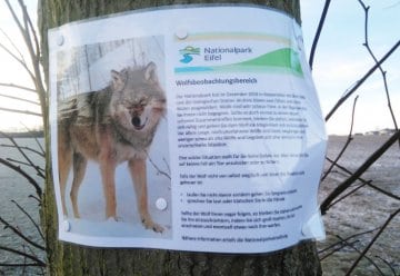 Falschmeldung zum angeblichen „Wolfsbeobachtungsbereich“