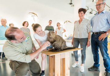 Ferienspiele mit Ranger im Nationalpark-Zentrum Eifel: Wildnis aus Wasser und Wald