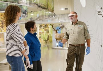 Ferientipp: Tägliche Familienführungen durch die „Wildnis(t)räume“ im Natio-nalpark-Zentrum Eifel