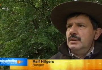 Filmtipp: Der Nationalpark Eifel beim ZDF