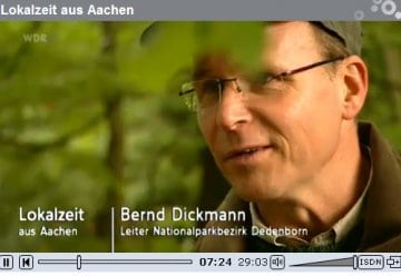 Filmtipp: Die Nationalpark-Bucheckern in der WDR-Lokalzeit