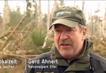 Filmtipp II: Die Nationalpark-Wildnis nach Kyrill